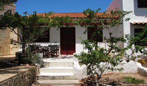 grapes to taste just over your head